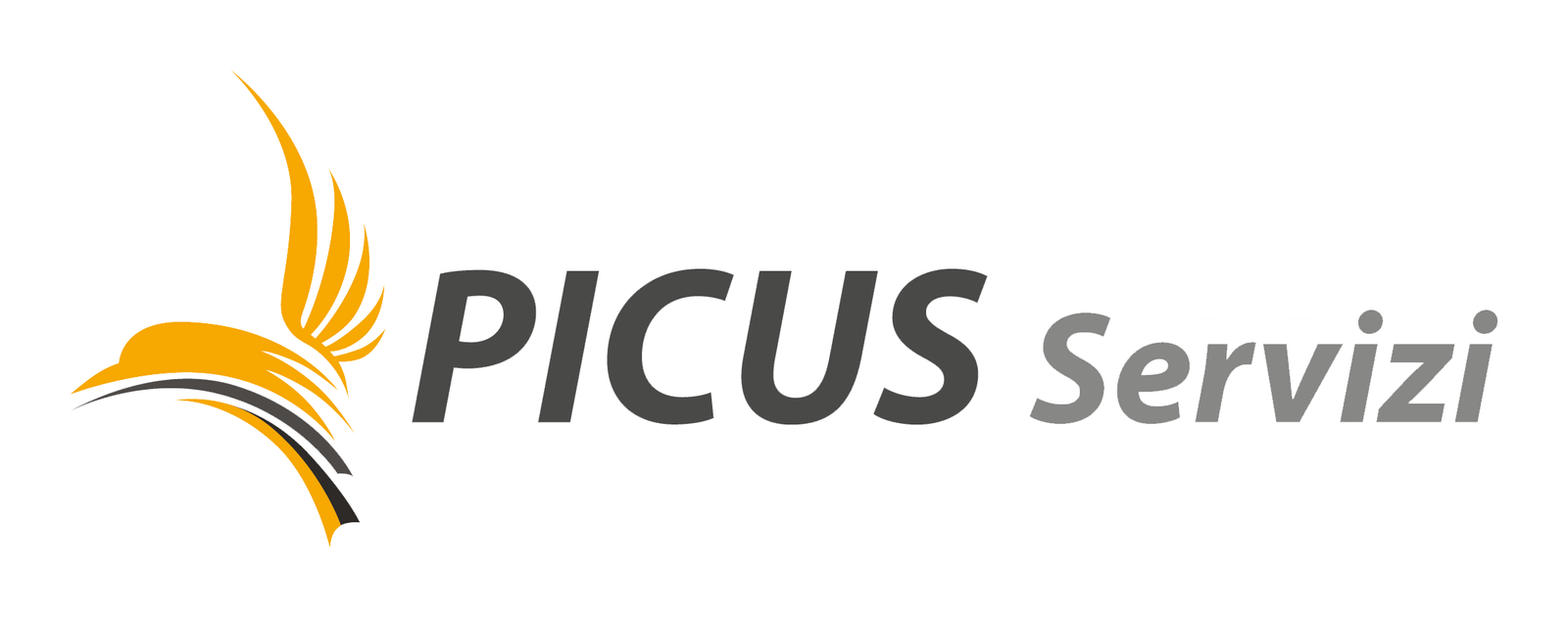 Picus Servizi Logo